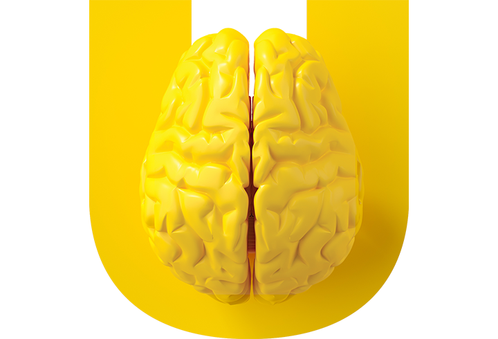 Plastic brain over a yellow U