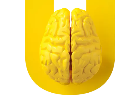 Plastic brain over a yellow U