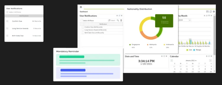 Dashboarad of Prosoft Payroll