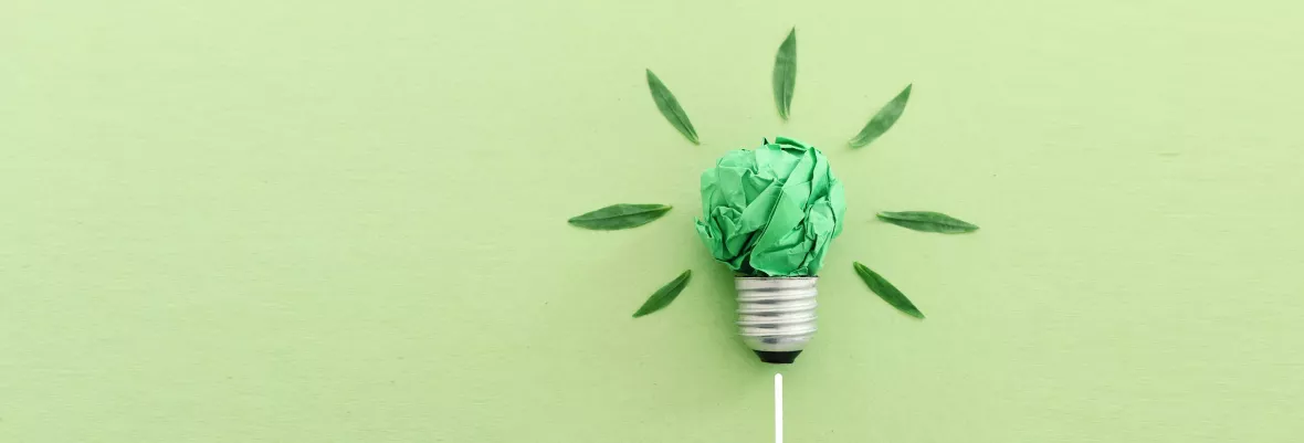 What is HRMS-Go Green & Paperless