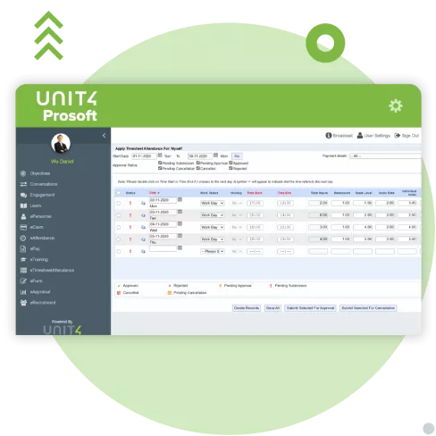 Screenshot of Prosoft Timesheets